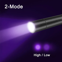 Lampe de poche ultraviolette Lentille de filtre noir USB Lumière noire Tache pour animaux de compagnie Punaise de lit Détecteur d'argent minéral Blacklight 365NM Lampe de poche UV