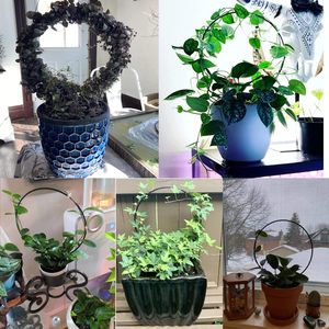 <span class=keywords><strong>Support</strong></span> de plante en forme de cœur en métal/fer pour plantes grimpantes, à poser au sol, pour la vigne tortue et le lys araignée - Product Image 5
