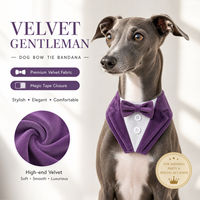 Bandana de mariage pour animaux de compagnie au design original, collier nœud papillon réglable pour chien, accessoire de mode pour la fête pour chat