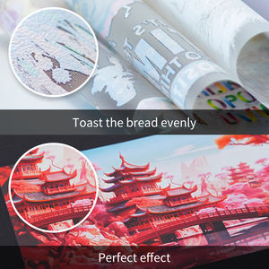 Auplex Fabrik preis Tragbar 13 Zoll A3 A3 dtf Pet Film Heiß schmelz pulver heizung DTF - Product Image 5