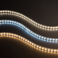 Bande LED haute tension 2026, 120 LED/m, certification CE RoHS, IP67, 2835 pour éclairage temporaire industriel et de chantier