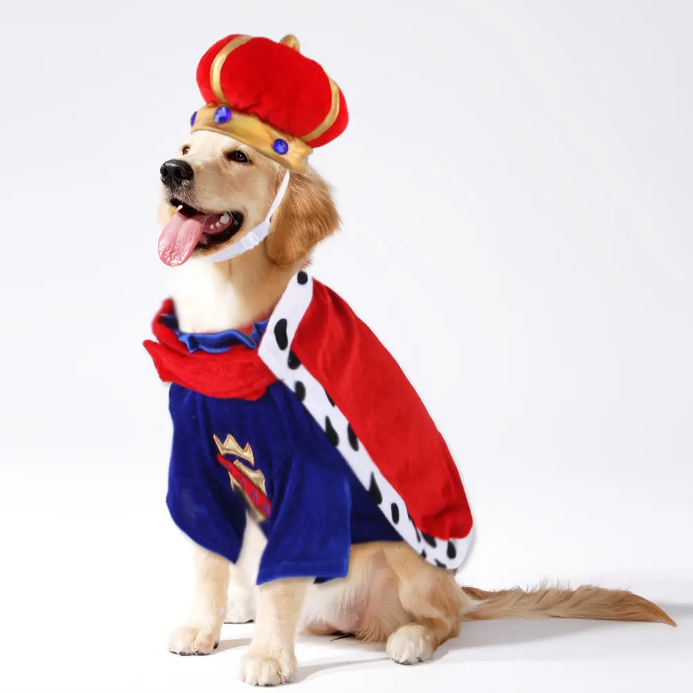 Interesting Lovely British Style Soft Comfortable Breathable Crown Hat Cape Two-Piece Pet Dog Suit Clothes For Taking Photos