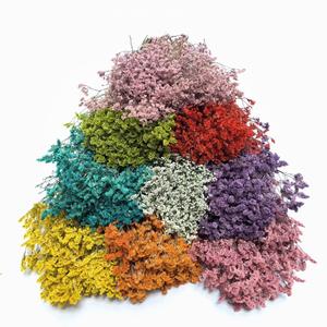 <span class=keywords><strong>Fleur</strong></span> éternelle Saint Valentin cadeau <span class=keywords><strong>de</strong></span> fête des mères <span class=keywords><strong>fleur</strong></span> éternelle pleine d'étoiles mariage décoration <span class=keywords><strong>de</strong></span> la maison fleurs séchées - Product Image 1