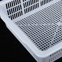 Voedselveilige geventileerde plastic afdruipbak met geperforeerd ontwerp voor eenvoudige opslag en het wassen van fruit en groenten