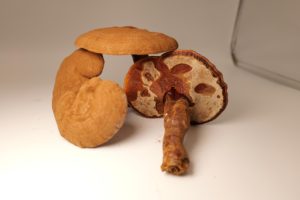 Hoang Dã Reishi Hữu Cơ trồng toàn bộ khô <span class=keywords><strong>Ganoderma</strong></span> Lingzhi Đỏ <span class=keywords><strong>Ganoderma</strong></span> <span class=keywords><strong>lucidum</strong></span> - Product Image 2