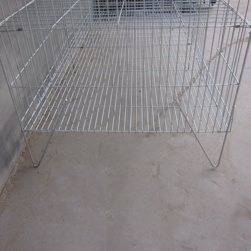 chicken poultry cage