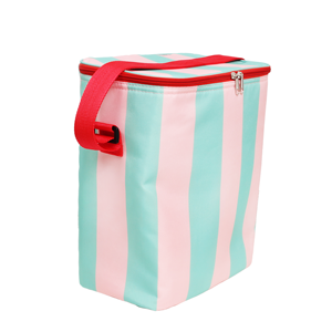 ग्रीष्मकालीन पुनः प्रयोज्य फैशन पर्यावरण के अनुकूल 14 एल इन्सुलेट पिकनिक कूलर बैग - Product Image 3