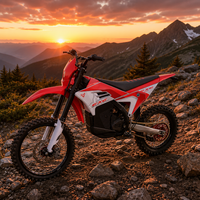 Moto électrique tout-terrain Arctic Leopard Cheetah E-XE 880 37kW 90V 75Ah 125km/h Enduro Motocross