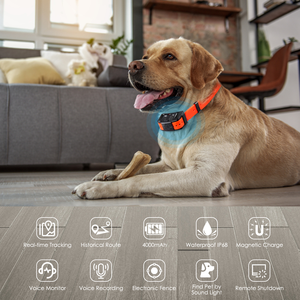 Antena Gps para collar de seguimiento de perros Antena de largo alcance VHF estándar para Dispositivo de perro <span class=keywords><strong>Garmin</strong></span> <span class=keywords><strong>DC50</strong></span>, T5, TT10, TT15, TB10 - Product Image 3