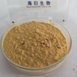 Bitkisel Kökler Yabani Organik <span class=keywords><strong>Ginseng</strong></span> Ekstresi %80 Toz Bitkisel Takviye Vegan Glutensiz Tambur Vakumlu Paket Özelleştirilebilir Sağlık - Product Image 3