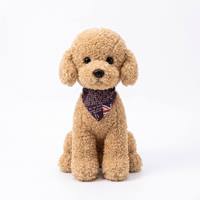 Boneka Teddy Poodle 8 Inci yang Mirip Asli, Super Lembut dengan Syal Bendera Inggris