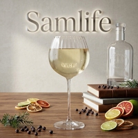 Verre à gin Samlife-BL19088 Copa en cristal sans plomb soufflé à la main, transparent et côtelé, pour cadeau de mariage et verrerie spéciale de bar