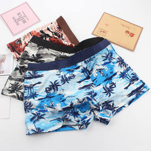 Boxer Sexy su misura intimo uomo taglie forti slip e Boxer pettinate biancheria intima di cotone per gli uomini Boxer - Product Image 6