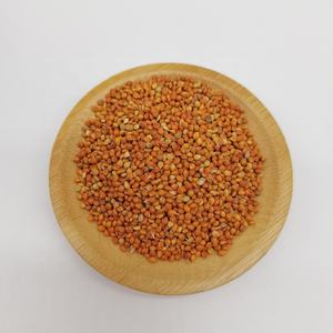 Hete Verkopende Kleefgraan Gierst In Schil Van Hoge Kwaliteit Met Goedkope Groothandelsprijs - Product Image 2