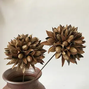 stabilized dried flower wholesalers dried magnolia ball flower preserved flowers foliage