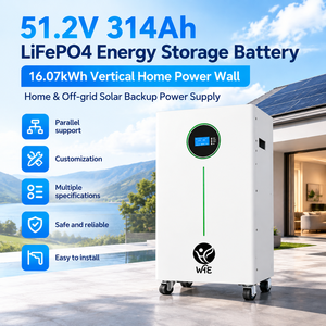 Sistema de Almacenamiento de Energía Residencial LiFePO4 de 51,2 V 314 Ah y 16,08 kWh para el Hogar, 51,2 V 200 Ah LiFePO4 - Product Image 5