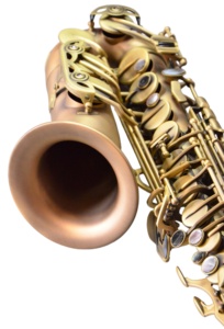 Saxophone alto professionnel en laiton doré, laque dorée, grand calibre, avec support et étui - Product Image 2