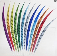 Plumas Sintéticas de Faisán Lady Amherst para Disfraces de Carnaval y Samba, de 60-160 cm