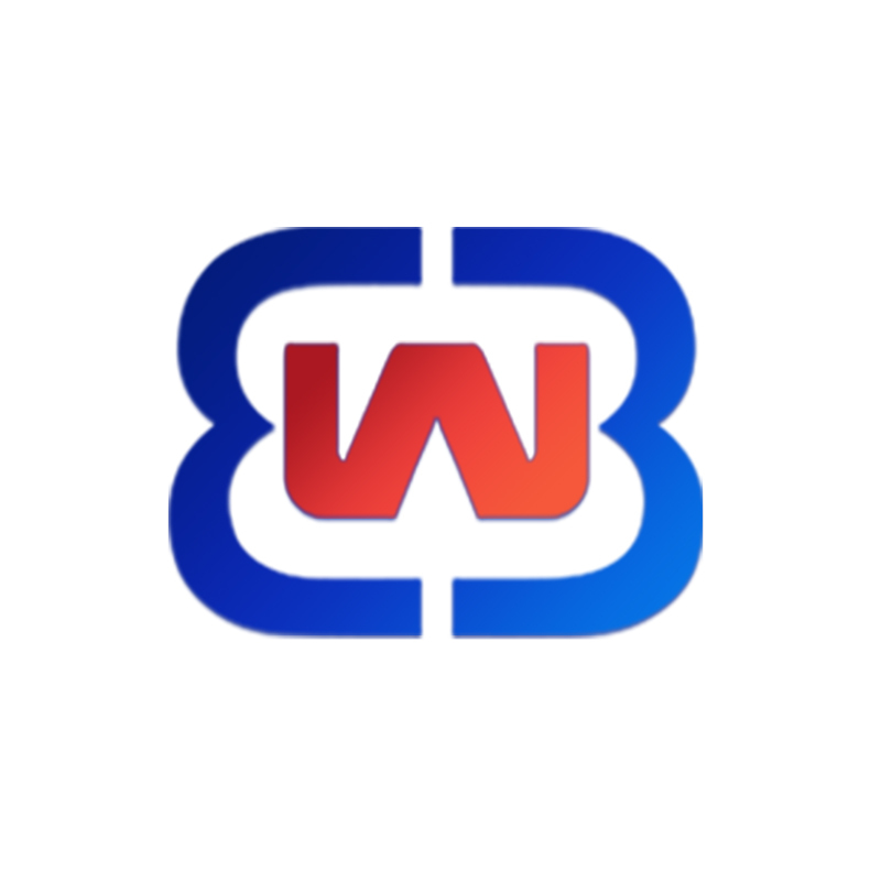 Wenzhou Baomi Electric Appliance Co., Ltd. logo