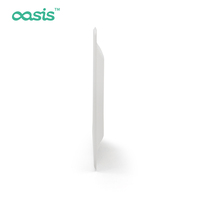 Assiettes jetables en bagasse écologiques, imperméables, résistantes à la graisse, sans danger pour les aliments, biodégradables, compatibles micro-ondes, emballage alimentaire pour le camping
