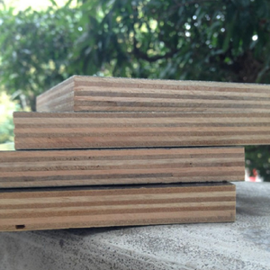 Panneaux multicouches modernes 15mm 18mm Contreplaqué filmé Peuplier/<span class=keywords><strong>Noyer</strong></span>/Eucalyptus/Noyau <span class=keywords><strong>de</strong></span> <span class=keywords><strong>bois</strong></span> dur - Product Image 5