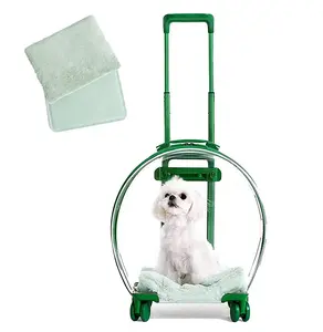 Hard Cat Carrier with Stickers & 2 Mats, Freely Breathe Travel Dog Carrier Cat Kennel Trolley Case Portable with Silent Wheel