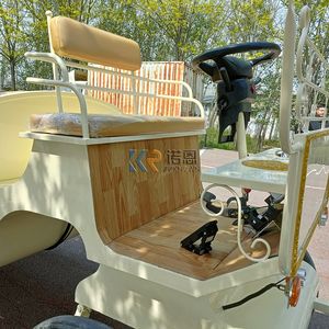 Caleches Turísticas Eléctricas de Estilo Europeo, Carros de Caballos para Turismo, Carrozas Victoria para Recorridos Turísticos - Product Image 6