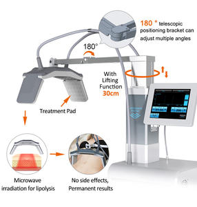 Roidiofrecuencia Lumewave نحت الجسم الرئيسي الميكروويف تحلل الدهون معدات إزالة السيلوليت - Product Image 2
