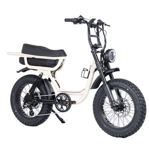 Vélo électrique 750w Fat E Bike 20 pouces avec pneus larges, vélo électrique pas cher Fatboys Cruzr Flightriskk pour la livraison de nourriture - Product Image 5