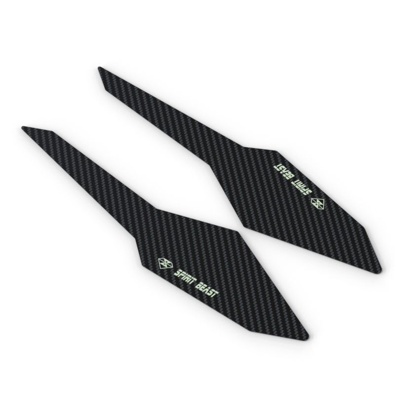 Une paire de fibre de carbone L2 sur les repose-pieds latéraux