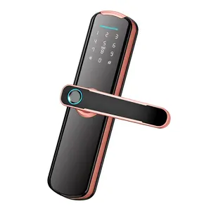 Sicurezza Push Pull Digital Tuya Smart Door Lock Smart Wifi Home impronta digitale Ttlock Smart Lock