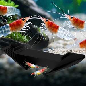 Plastic Milieuvriendelijke Garnalen Verbergen Hoek Ondergrondse Koepel Driehoek Curve Gat Voor Aquatisch Terrarium Gebruik - Product Image 3