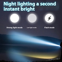 Briquet électrique portatif d'extérieur à allumage par arc Camping Forte lumière d'urgence Led Edc Mini lampe de poche