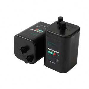 スーパーヘビーデューティーバッテリー4R256Vバッテリー - Product Image 4