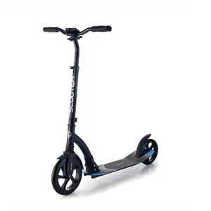 2024 personalizzabile pieghevole pedale Kick Scooter OEM ammortizzatore Scooter con due ruote per adulti e adolescenti