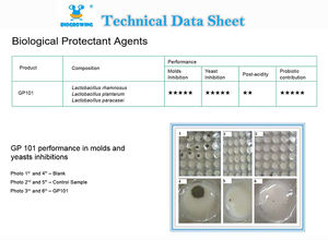 Conservazione naturale degli alimenti nei prodotti lattiero-caseari conservazione dello yogurt biologico probiotico ad alta potenza - Product Image 2