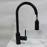 Robinet de cuisine moderne à poignée unique, flexible, finition nickel brossé, construction en laiton, montage sur plan, installation à trou unique