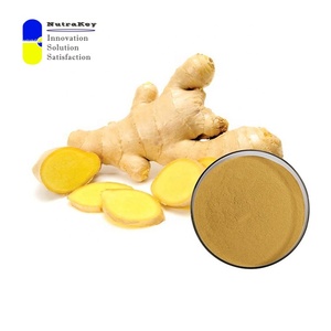 Extracto de raíz de jengibre Premium 20% gingeroles | Soporte digestivo natural y antiinflamatorio | Polvo orgánico Zingiber Officinale - Product Image 3