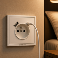 MOQ 400 pièces, Usine PHIDIAS, Prise murale USB Type C 20W PD, Norme UE, 16A, 2 ports, Panneau ignifuge blanc
