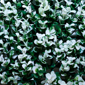 Pared verde de imitación botánica de alta calidad 100% Artificial para pared de fondo Tecnología táctil real Plástico con flor - Product Image 4
