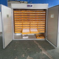 Nouvel incubateur et éclosoir automatique populaire pour œufs, machine à couver les poussins et cailles