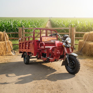 2026 Contenitore di Stoccaggio Grande, Vendita Diretta dalla Fabbrica, Produttore di Tricicli Elettrici Domestici e Veicoli Agricoli per Trasporto Merci - Product Image 1