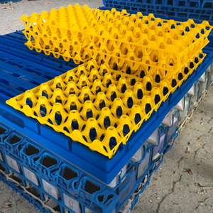Durable Mesh Style Plastic Egg Shakers Stackable Transport <strong>Packing</strong> <strong>Crates</strong> and Grille Egg Trays for Savings - Product Image 3
