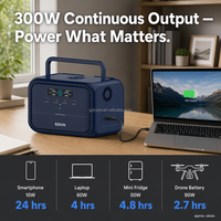 Estación de Energía Solar Portátil de 300W con Inversor de Onda Sinusoidal Pura y Batería LiFePO4 para Camping y Emergencias
