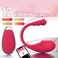 Ferngesteuertes Vibro-Ei Tragbarer Klitoris-Stimulator für Frauen Silikon Wiederaufladbares Mini-Vibrations-Ei Liebeskugel