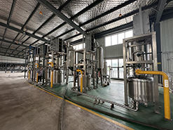 Raiz De Bardana Seca Chá De Ervas Naturais Puro Fatias De Raiz De Bardana Niu Bang Gen - Product Image 6