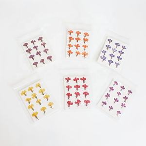 M003 coque de téléphone DIY préservée vraie <span class=keywords><strong>fleur</strong></span> séchée pressée résine Nail Art bijoux cadre <span class=keywords><strong>Lobelia</strong></span> petites fleurs séchées <span class=keywords><strong>fleur</strong></span> naturelle - Product Image 1