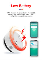 Détecteur de fumée intelligent Zigbee TUYA avec batterie au lithium ABS longue durée, alarme incendie