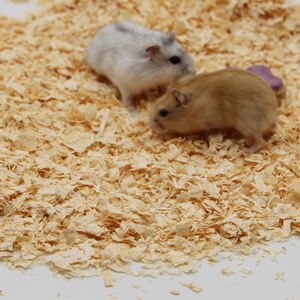 DongnaiPETS DongnaiPETS03 Escamas de Madera de Pino 100% Naturales y Ecológicas, Libres de Polvo, Control de Olores Extra, Alta Absorbencia, Forma de Tira - Product Image 4