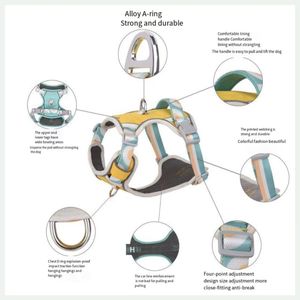 Fashion <b>Dog</b> Leash with Stainless Steel Chain and Oxford Material Adjustable Chest Strap <b>for</b> Medium & Large <b>Dogs</b> - Product Image 6